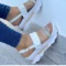 White-B
